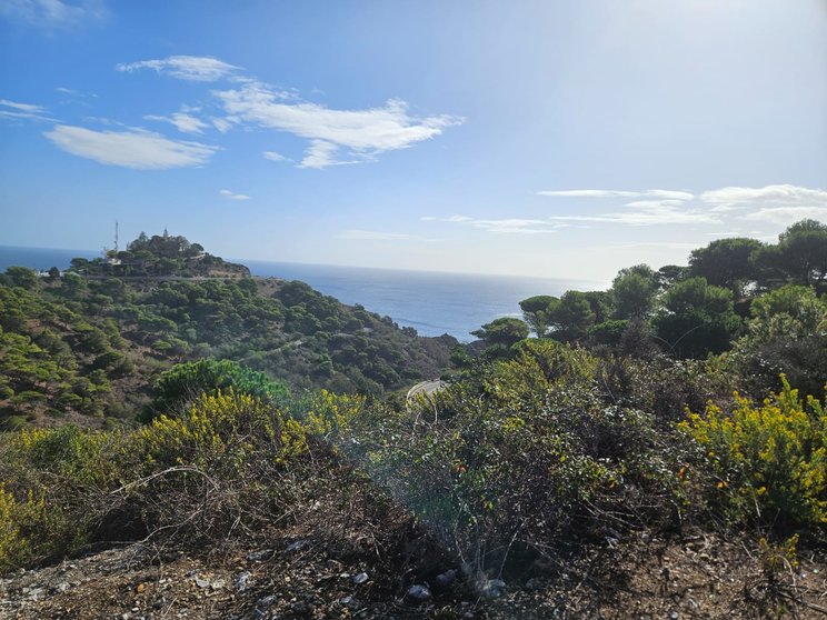 MONTE HACHO