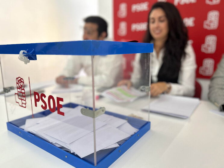 Consulta PSOE-11